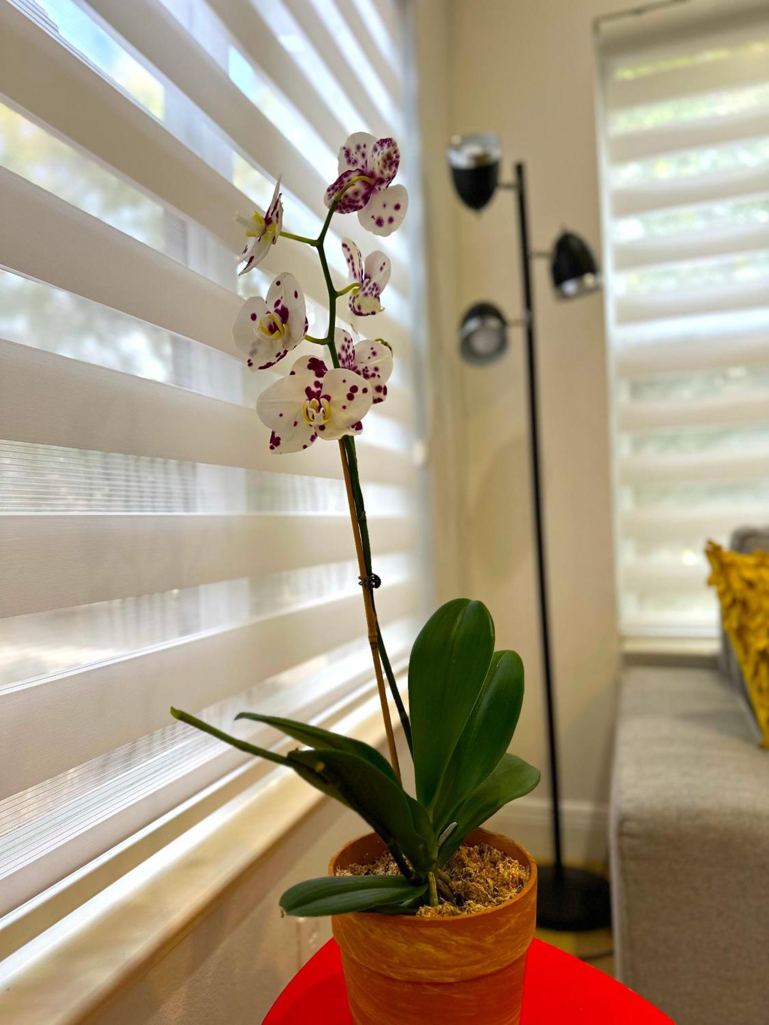 Albatross Condo In Pga Village, 2 Bedroom 1 Bath, A Side Carlton Exterior photo